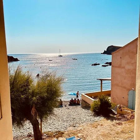 Vila Casapalmea On Mute Beach, Cap Corse